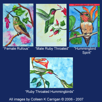 hummingbirds06-07.jpg
