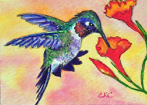 hummingbirdsippingnectar.jpg